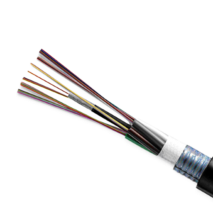 Cáp quang Singlemode