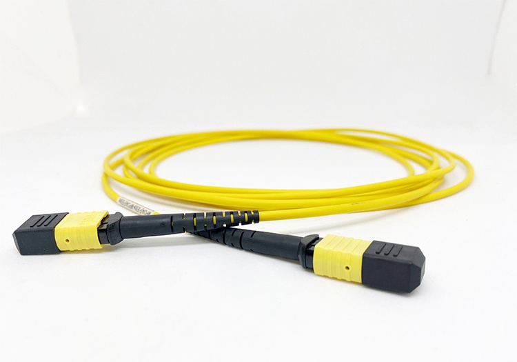 Marmont-Dây nhảy quang Singlemode MPO