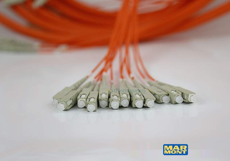 Marmont-Hình ảnh dây nhảy quang đầu SC SC